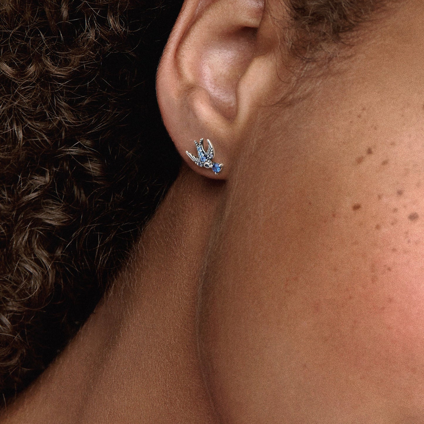 Sparkling Swallow Stud Earrings Popular Style Premium Collection