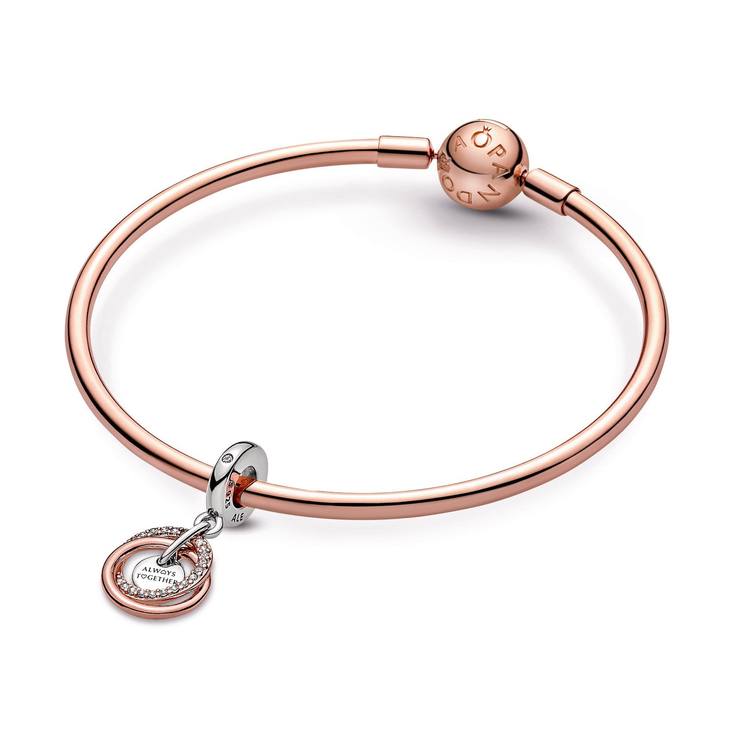 Family Always Encircled Dangle Charm Premium Fashion Jewelry Gift Collection