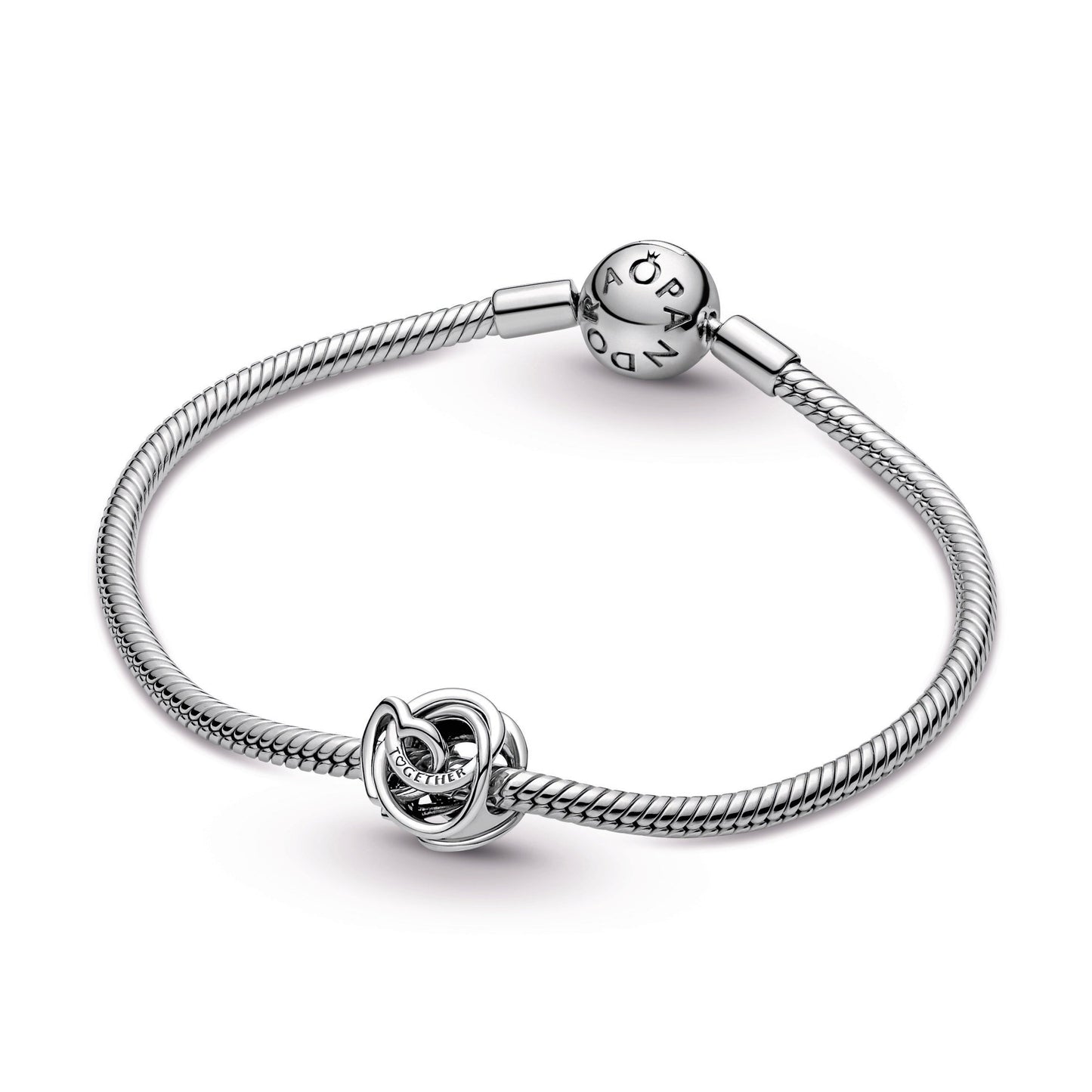 Family Always Encircled Heart Charm Premium Fashion Jewelry Gift Collection