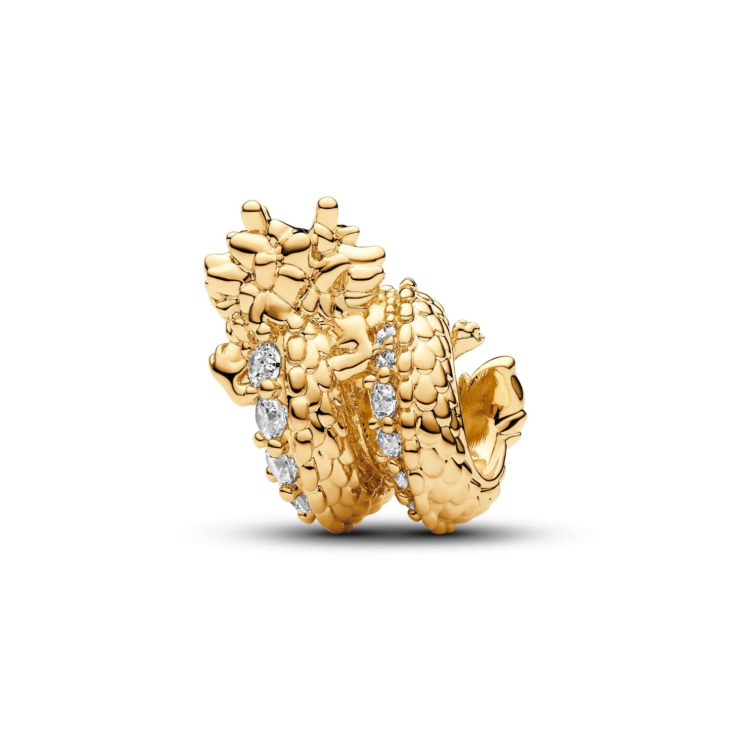 Chinese Year of the Dragon Charm Premium Fashion Jewelry Gift Collection