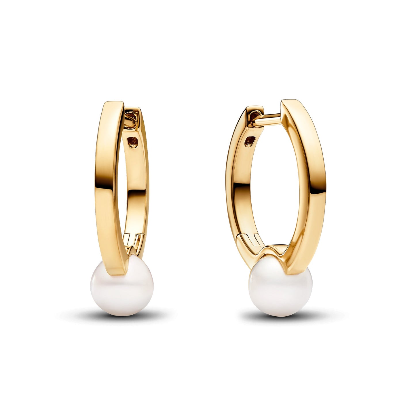 Treated Freshwater Cultured Pearl Hoop Earrings Popular Style Premium Collection