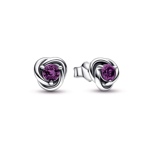 Purple Eternity Circle Stud Earrings Popular Style Premium Collection