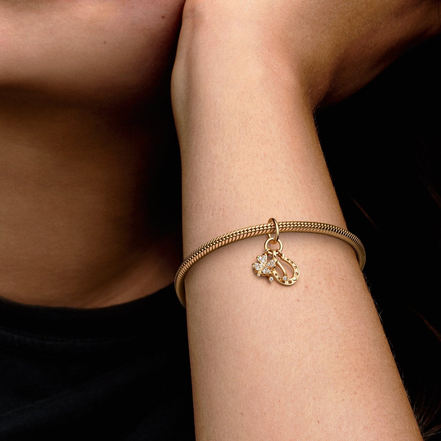 Lucky Clover, Wishbone & Horseshoe Dangle Charm Premium Fashion Jewelry Gift Collection