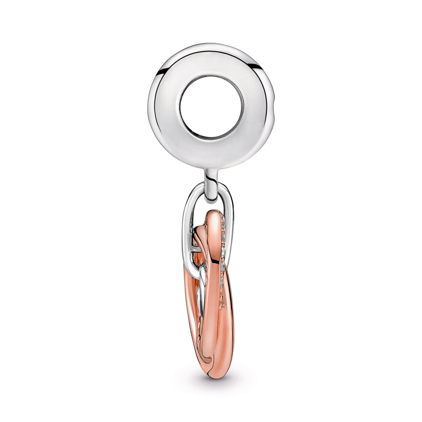 Family Always Encircled Dangle Charm Premium Fashion Jewelry Gift Collection
