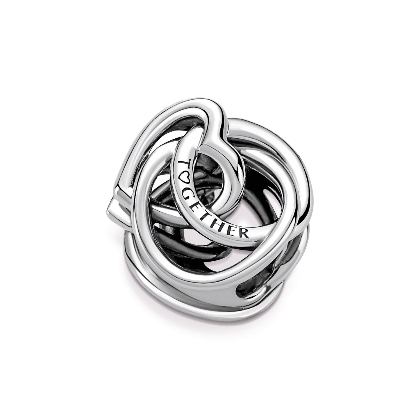 Family Always Encircled Heart Charm Premium Fashion Jewelry Gift Collection