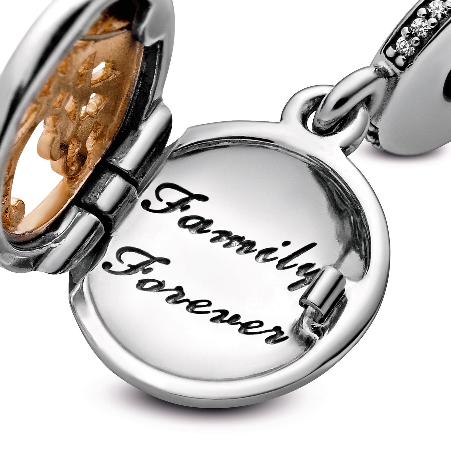 Family Roots Dangle Charm Premium Fashion Jewelry Gift Collection