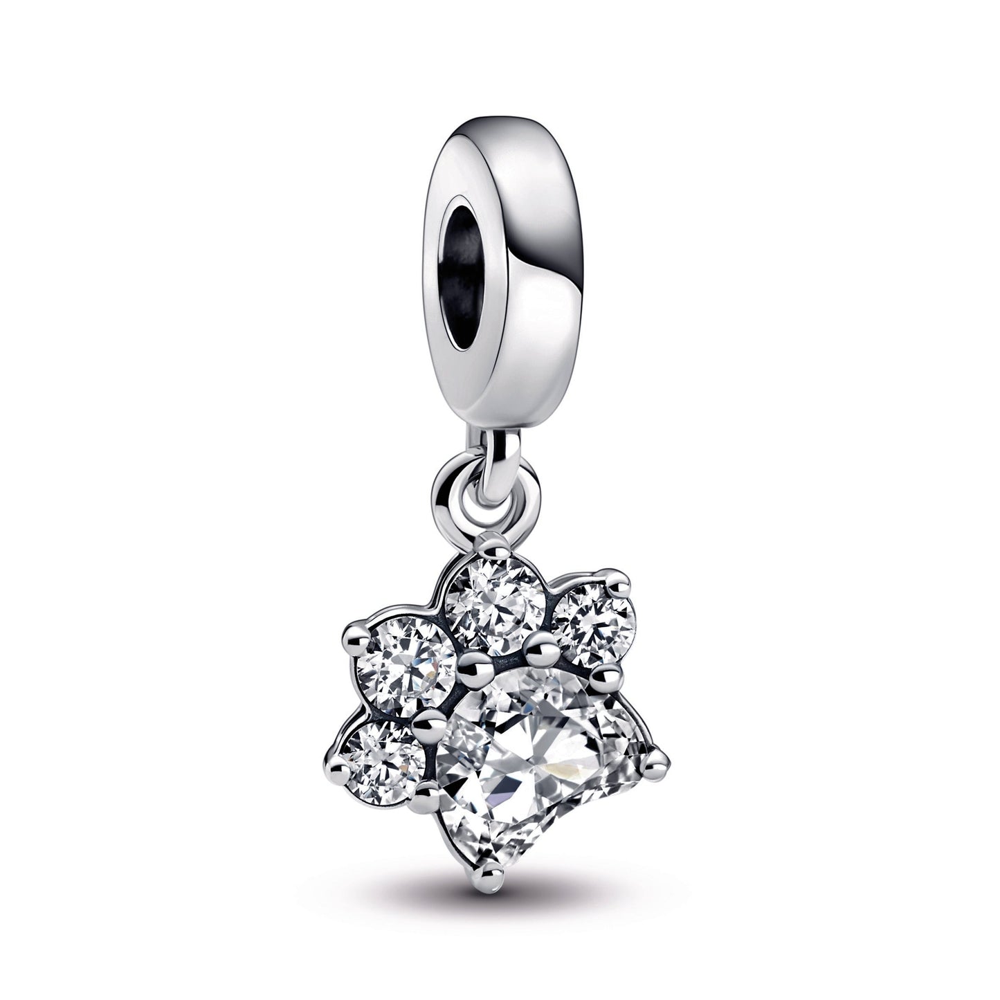 Sparkling Pet Paw Print Dangle Charm Premium Fashion Jewelry Gift Collection