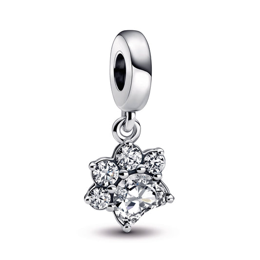 Sparkling Pet Paw Print Dangle Charm Premium Fashion Jewelry Gift Collection