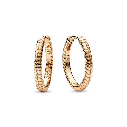 Pandora Moments Small Charm Hoop Earrings Premium Fashion Jewelry Gift Collection