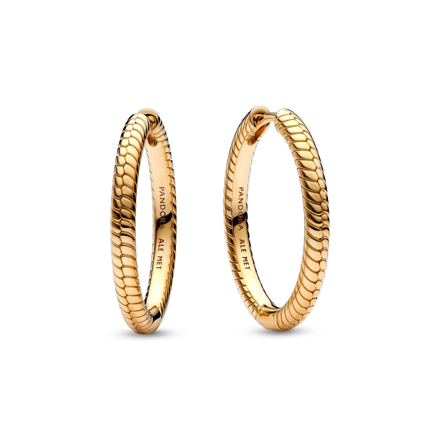 Pandora Moments Charm Hoop Earrings Premium Fashion Jewelry Gift Collection