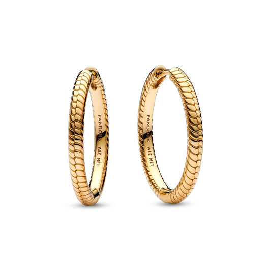 Pandora Moments Charm Hoop Earrings Premium Fashion Jewelry Gift Collection