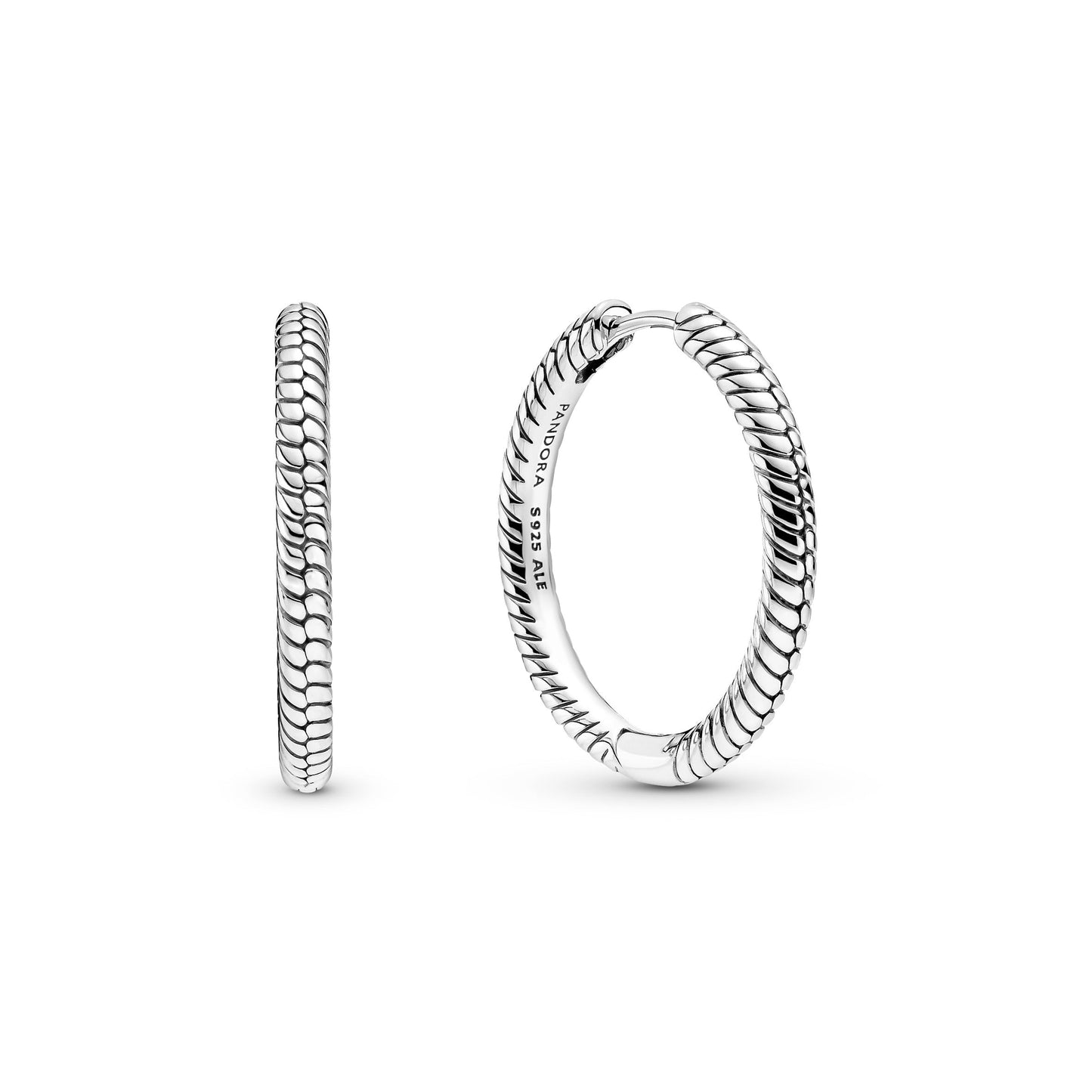 Pandora Moments Charm Hoop Earrings Premium Fashion Jewelry Gift Collection