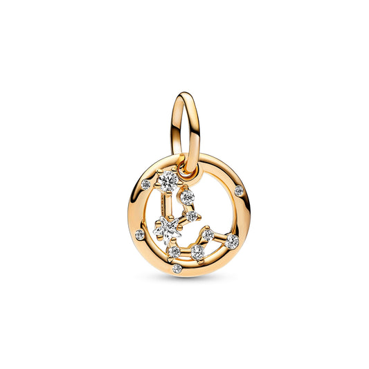 Aquarius Zodiac Dangle Charm Premium Fashion Jewelry Gift Collection