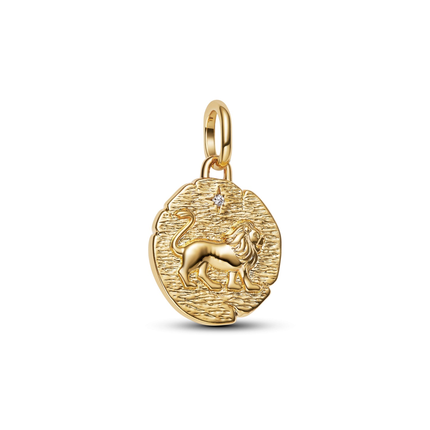 Lion Medallion Charm Premium Fashion Jewelry Gift Collection