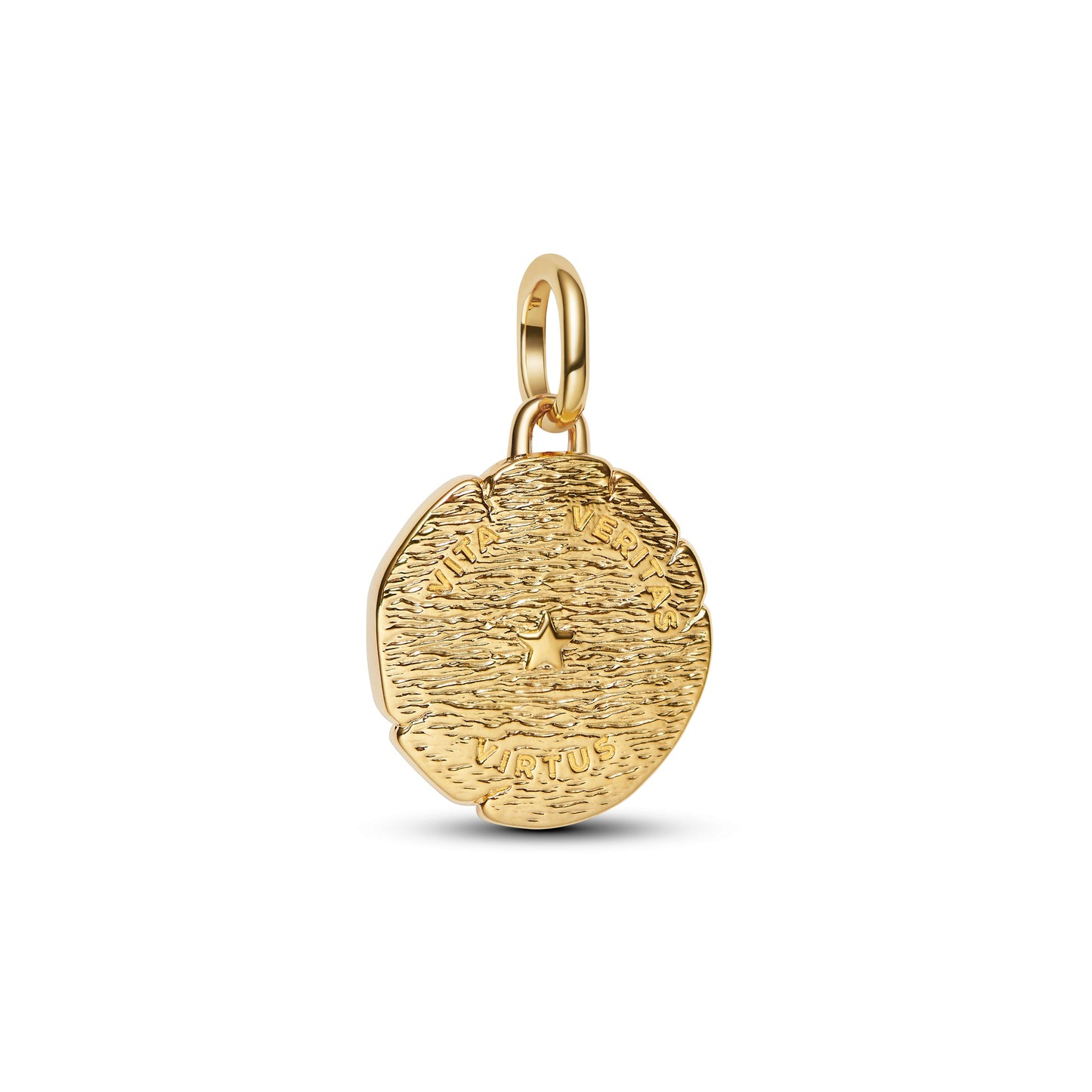 Lion Medallion Charm Premium Fashion Jewelry Gift Collection