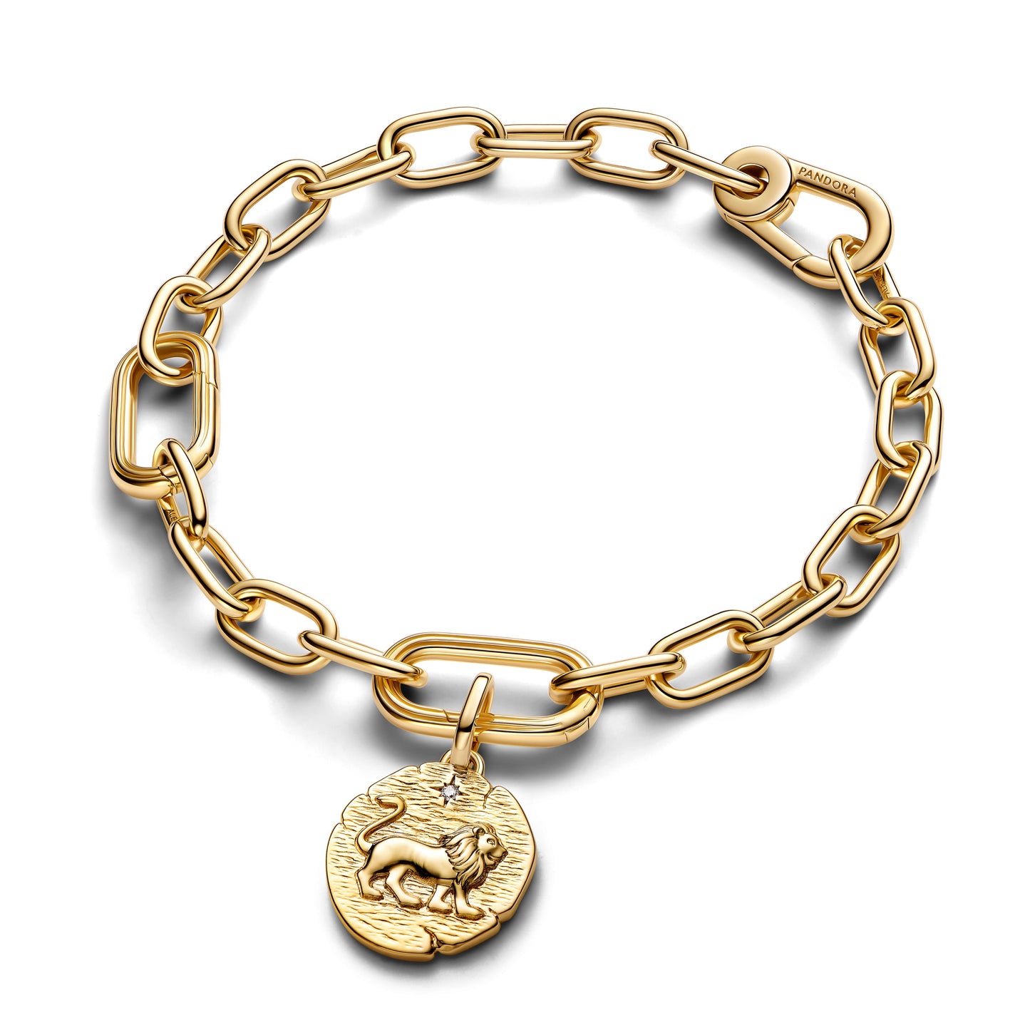 Lion Medallion Charm Premium Fashion Jewelry Gift Collection