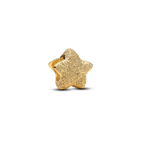 Textured Star Mini Charm Premium Fashion Jewelry Gift Collection