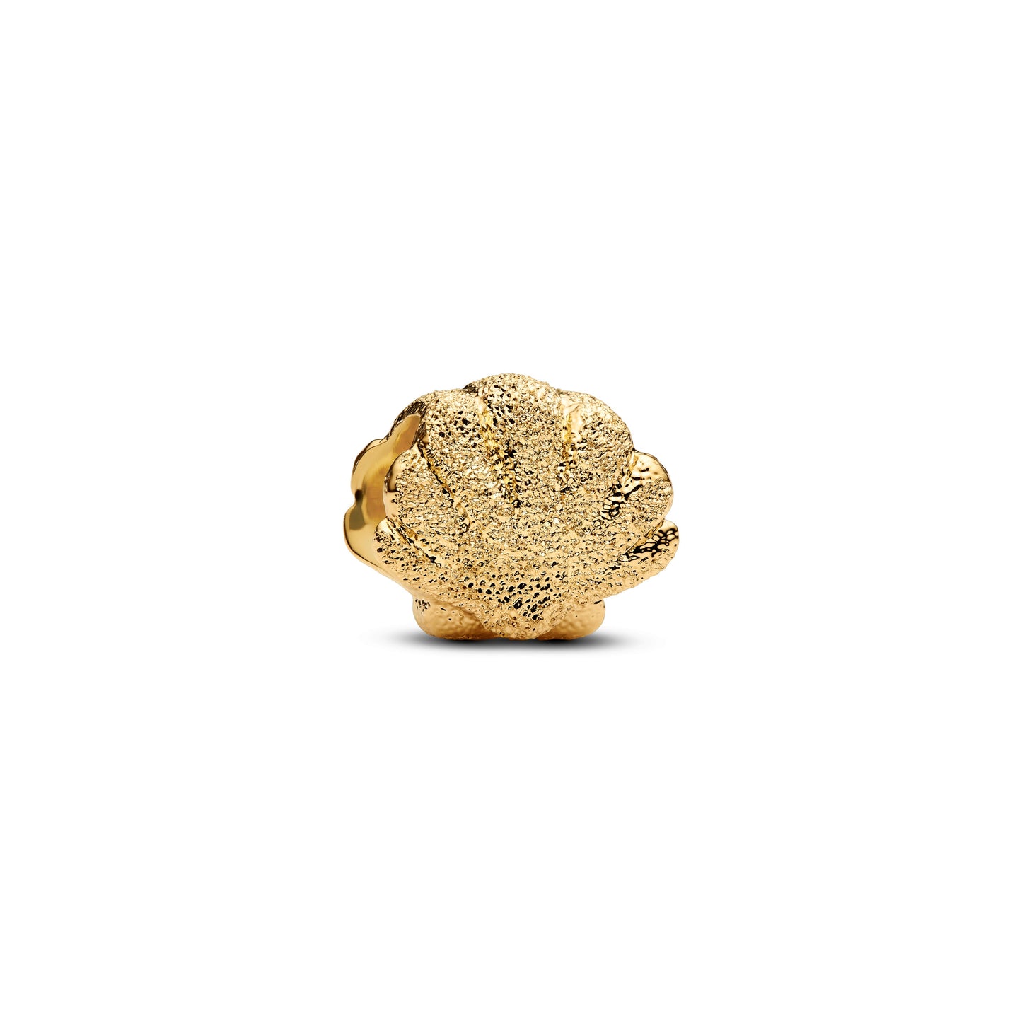 Textured Shell Mini Charm Premium Fashion Jewelry Gift Collection