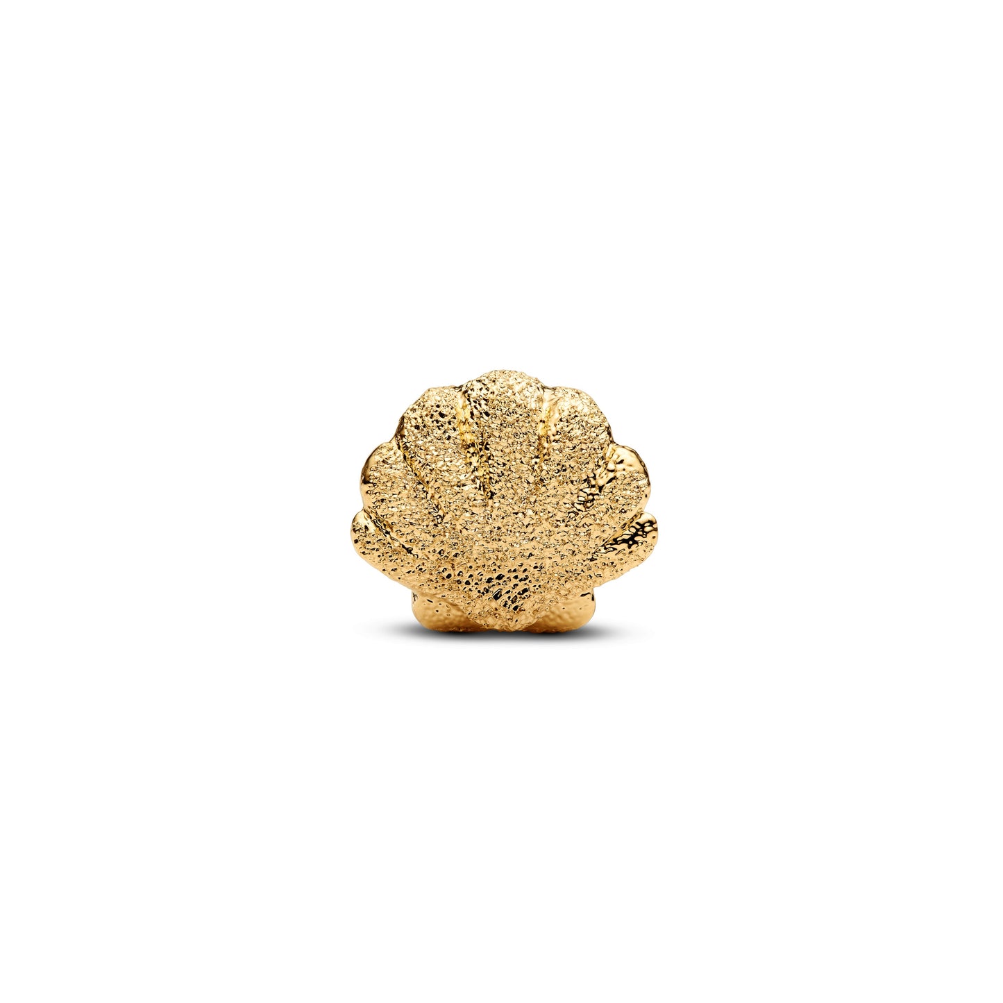 Textured Shell Mini Charm Premium Fashion Jewelry Gift Collection