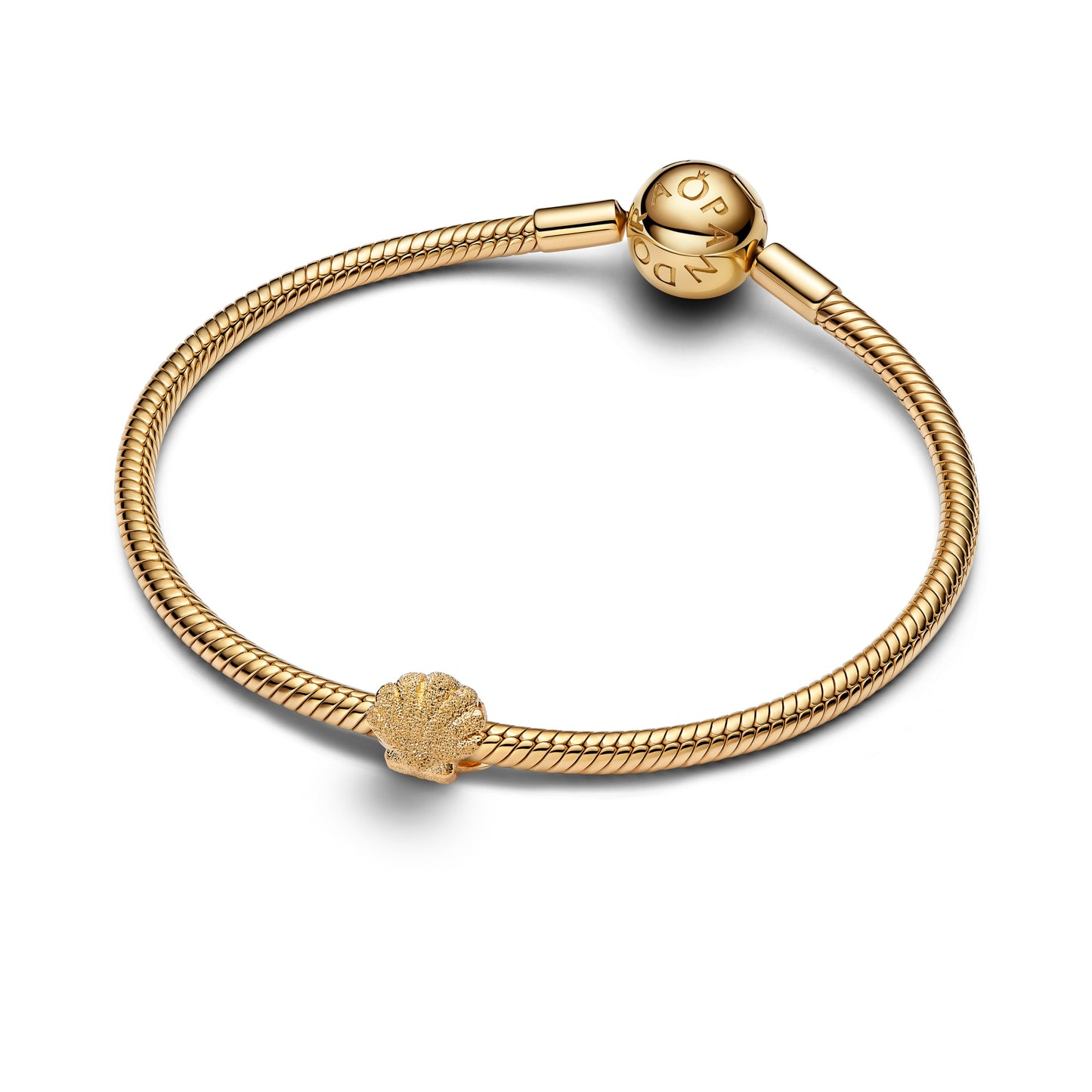 Textured Shell Mini Charm Premium Fashion Jewelry Gift Collection