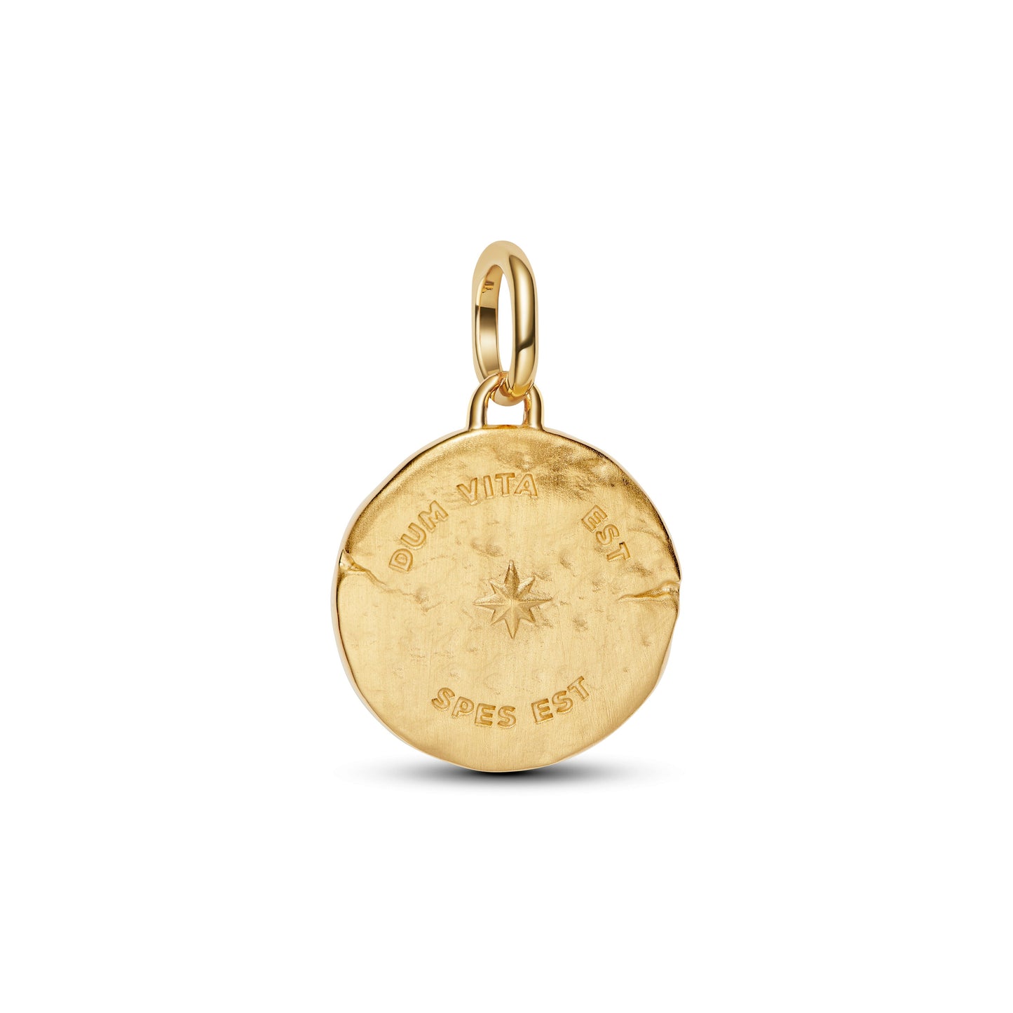 Swallow Medallion Charm Premium Fashion Jewelry Gift Collection
