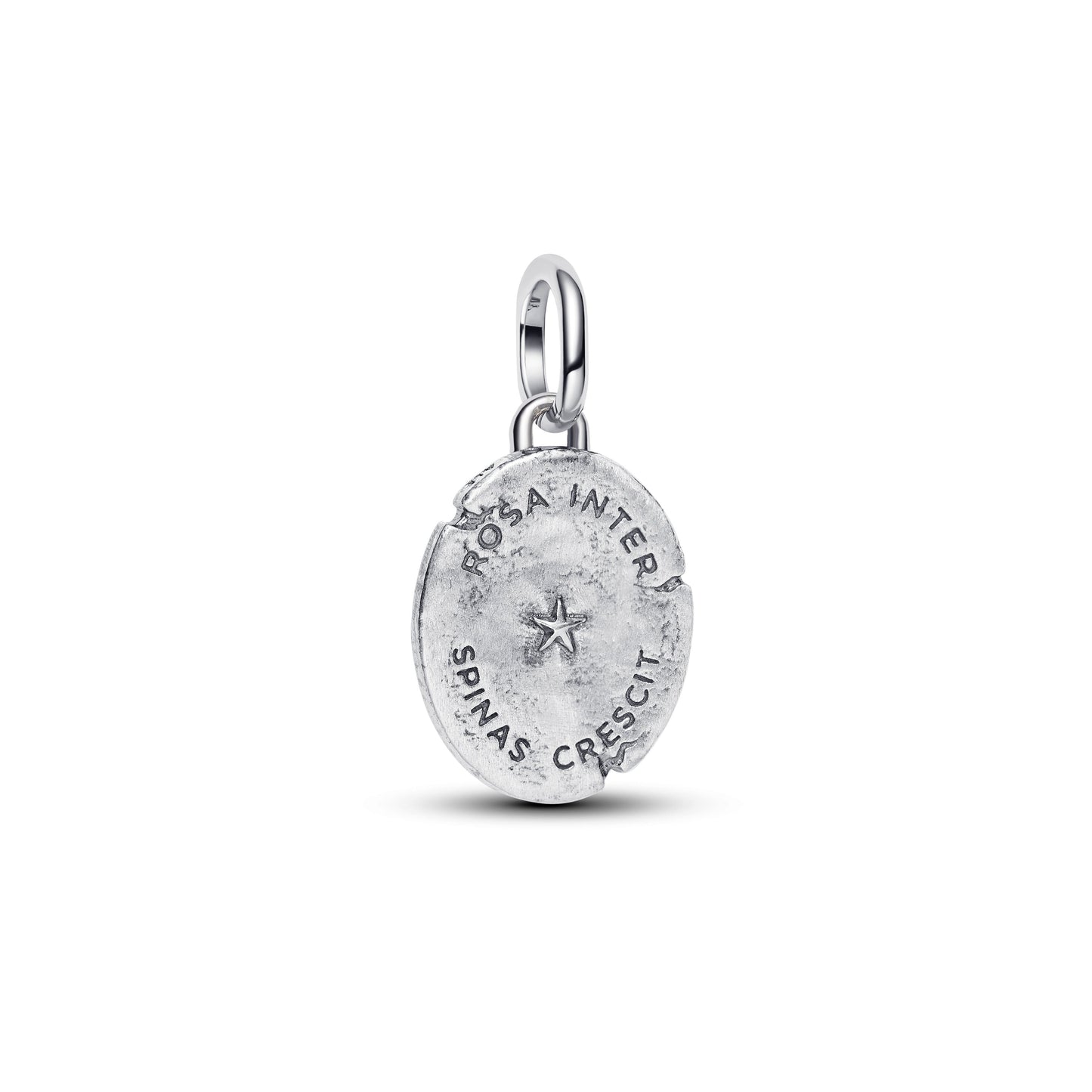Rose Medallion Charm Premium Fashion Jewelry Gift Collection