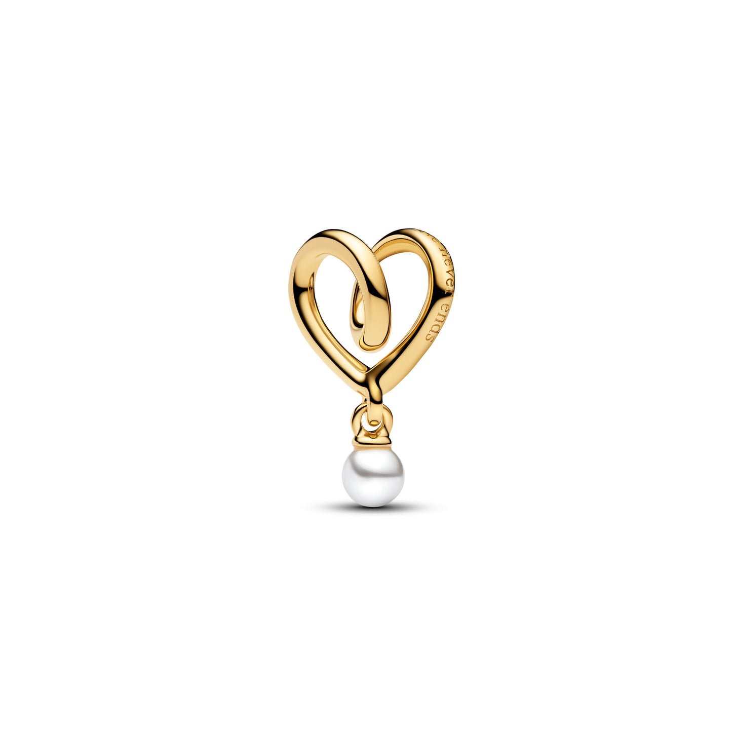 Wrapped Heart Charm Premium Fashion Jewelry Gift Collection
