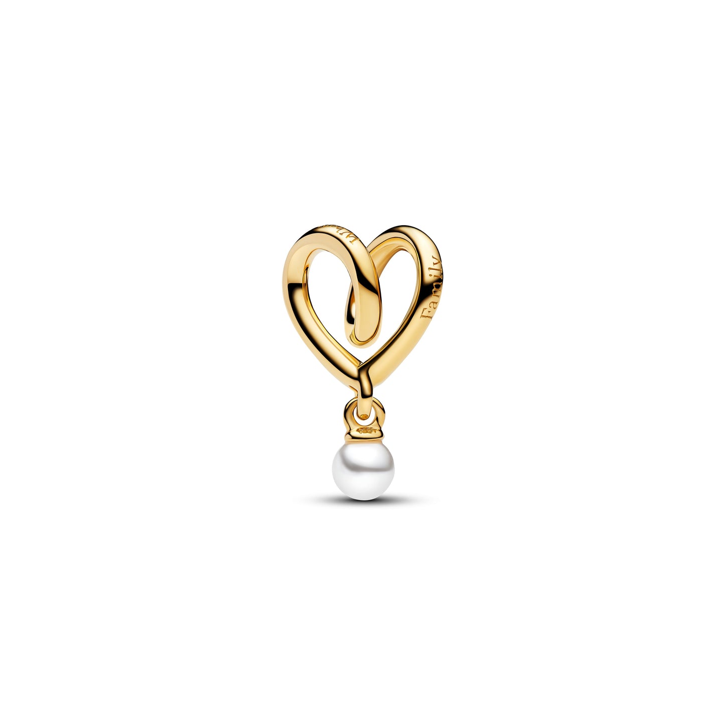 Wrapped Heart Charm Premium Fashion Jewelry Gift Collection
