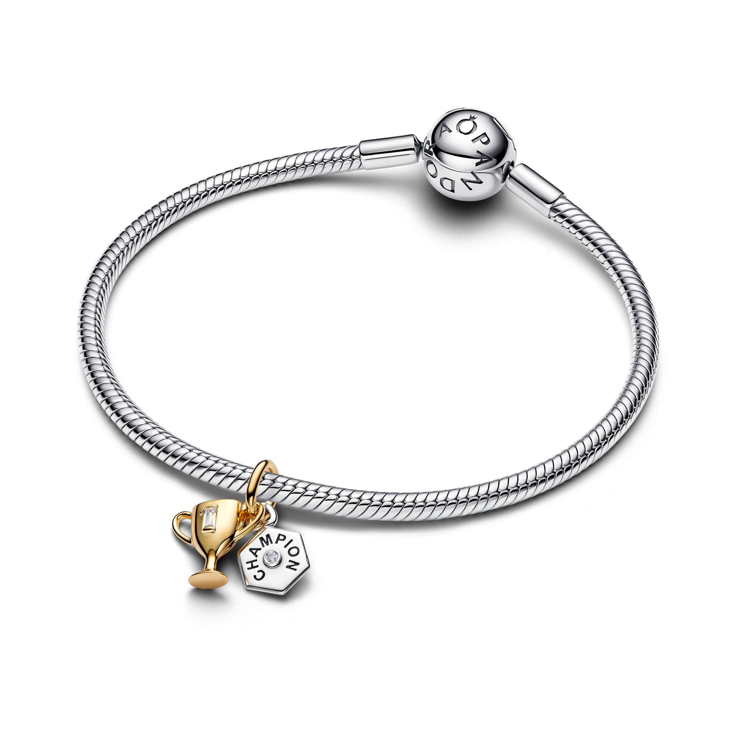 Engravable Trophy Double Dangle Charm Premium Fashion Jewelry Gift Collection
