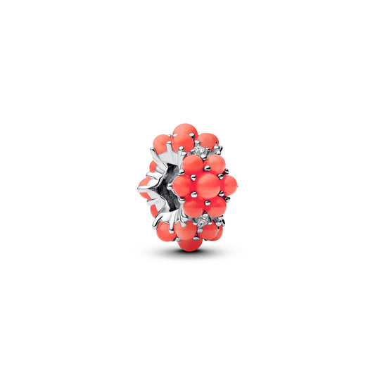 Coral-colored Ocean Charm Premium Fashion Jewelry Gift Collection