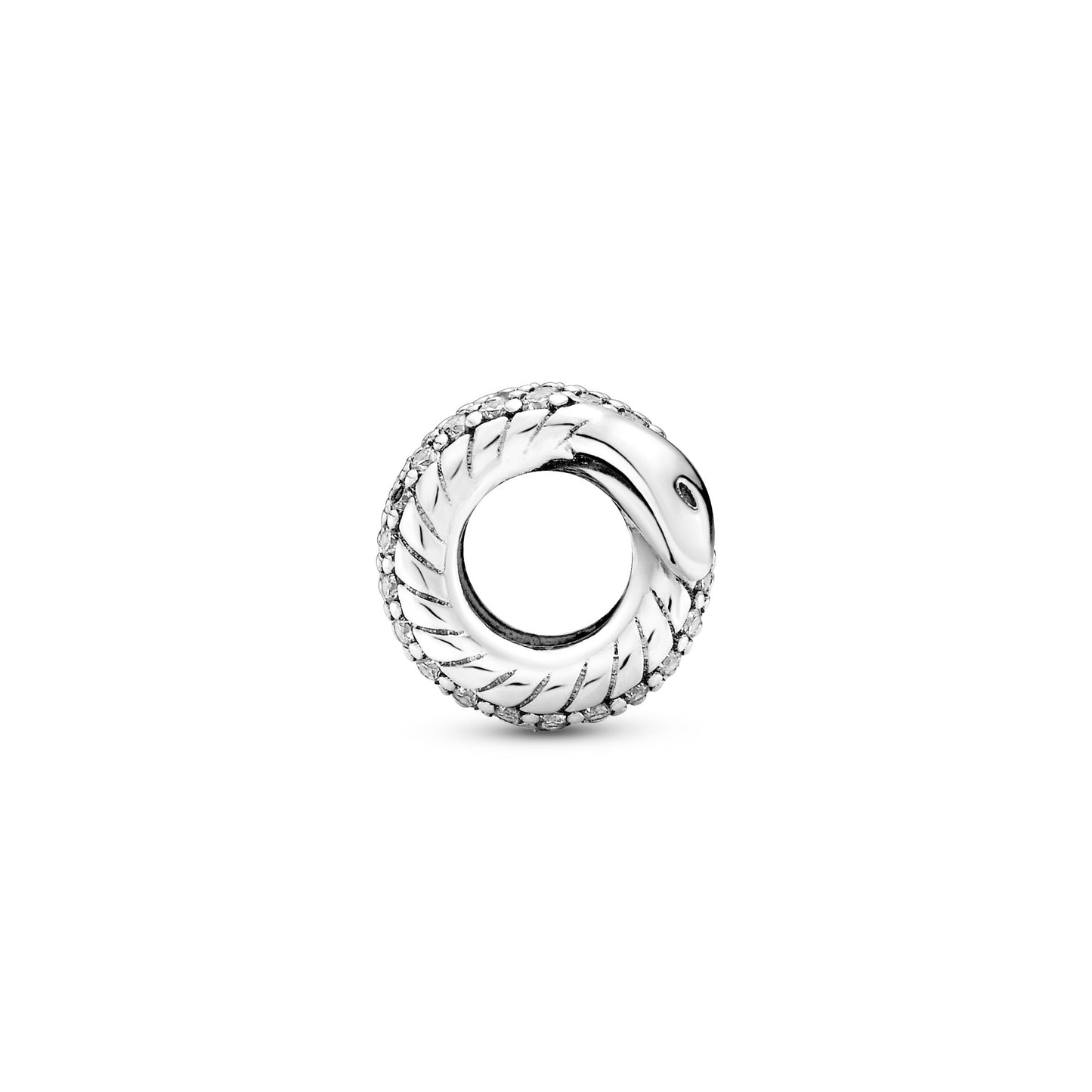 Sparkling Wrapped Snake Charm Premium Fashion Jewelry Gift Collection