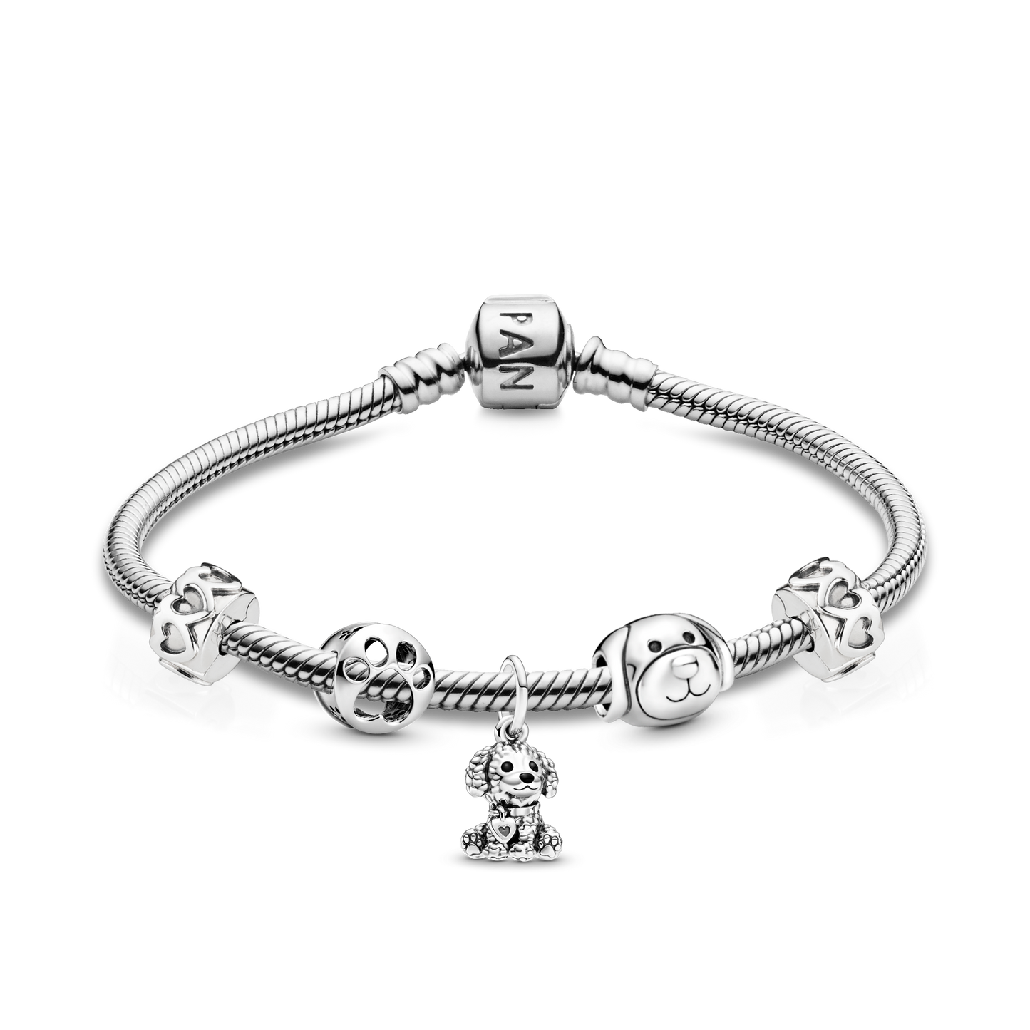 Pet Lover Bracelet and Charms Set Premium Fashion Jewelry Gift Collection